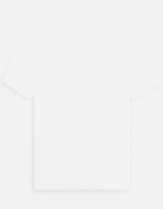 Back_3_c_1.jpg